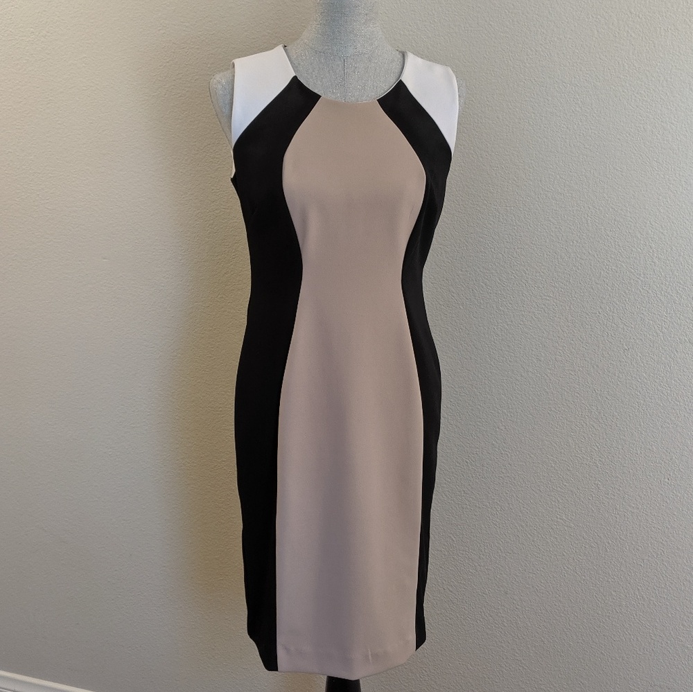 Professional dress